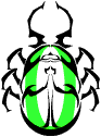 Jinni beetle